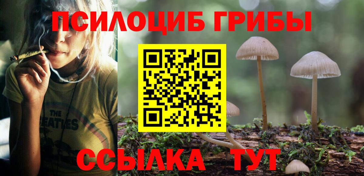 Галлюциногенные грибы мухоморы  Вход с VPN  Сергиев Посад  Галлюциногенные грибы Psilocybine cubensis 